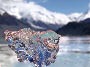 Glacier Ice  from the Tasman Lake at Mt Cook 